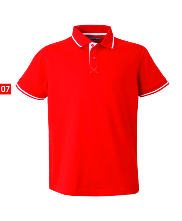 RT HH153 POLO PARROT